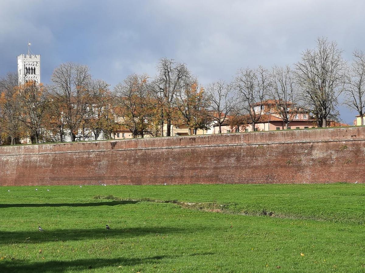 La Terrazza Fra Le Torri Lägenhet Lucca Exteriör bild