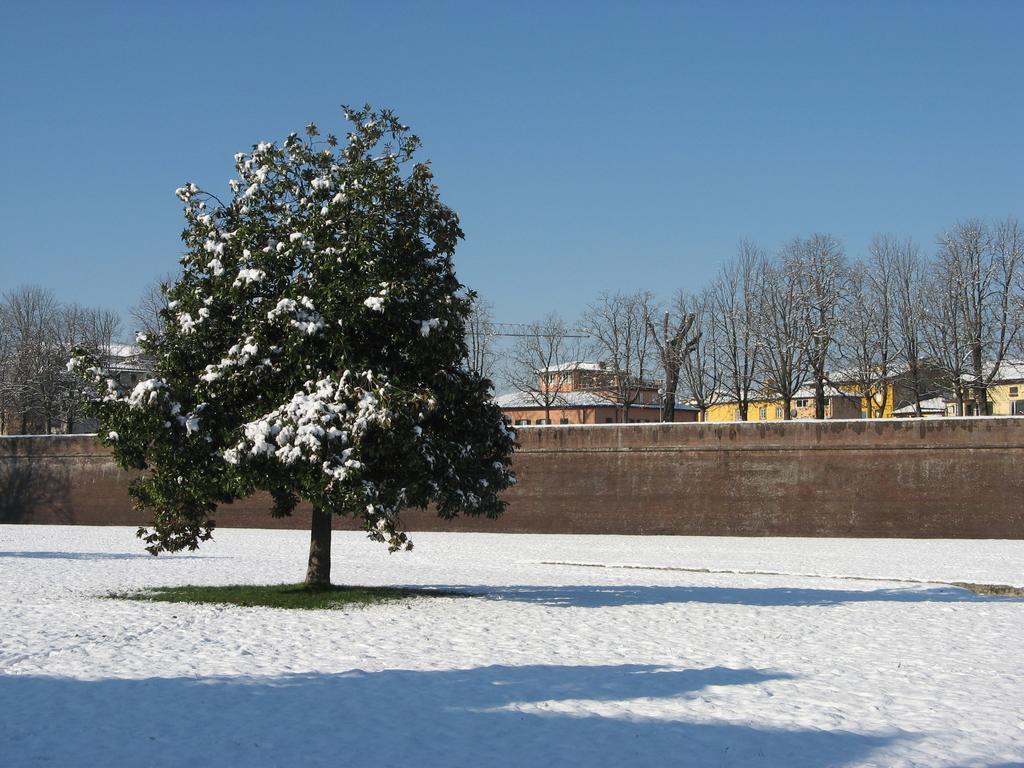 La Terrazza Fra Le Torri Lägenhet Lucca Exteriör bild